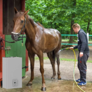 hot horse shower from Flexiheat UK; gas horse shower professional;equine hot water system;hot horse shower for sale